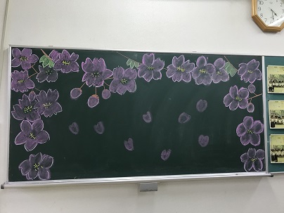 黒板の桜